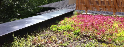 green roof with dents